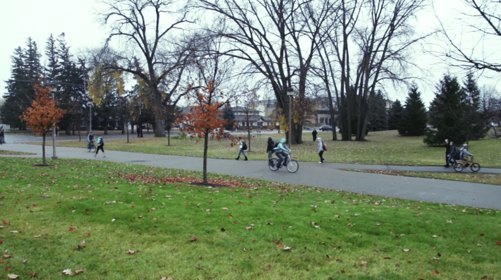 st thomas more catholic newman center