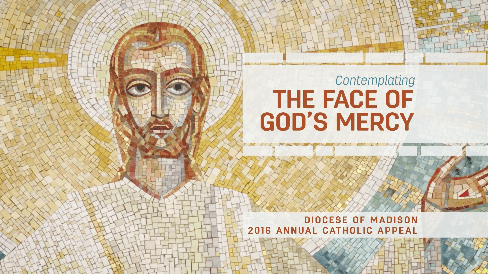 Annual Catholic Appeal