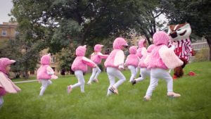 Kids in flamingo costumes chasing Bucky